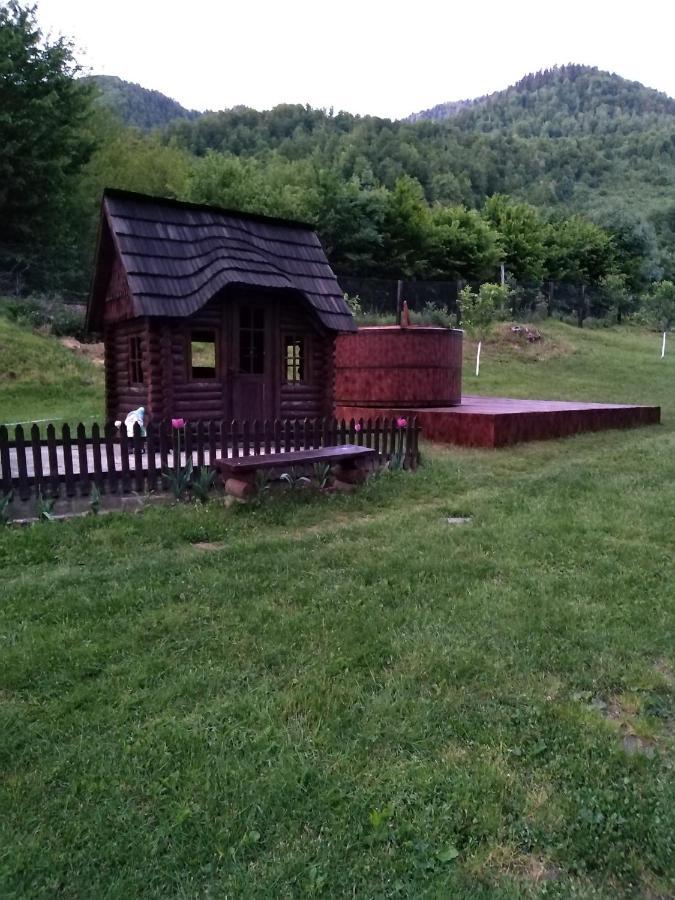 Pensiunea Roxana Valea Viseului Exterior photo
